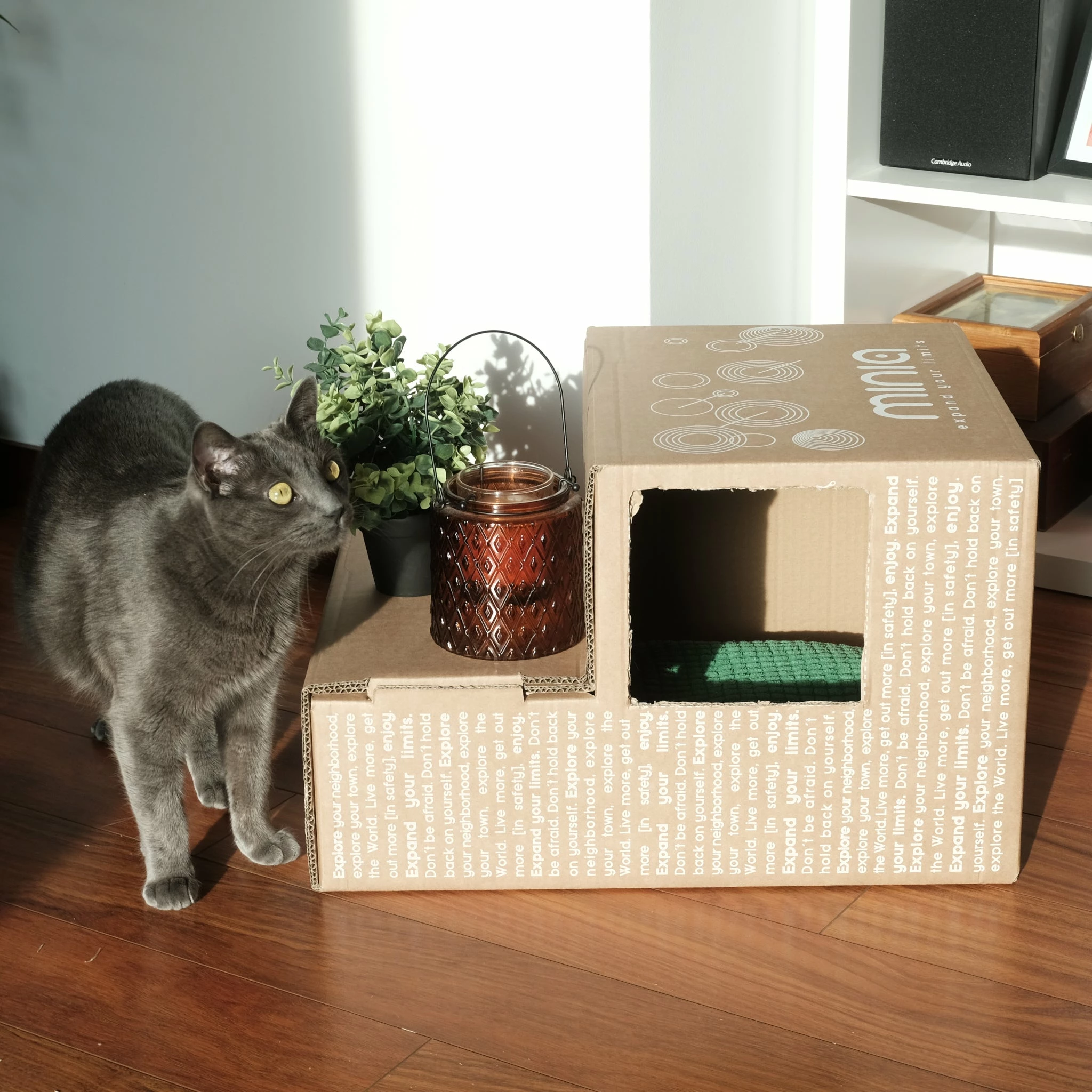 Siège Vélo Junior Porte-bagages Arrière Pliant Minia 8 Siège Vélo Junior Porte-bagages Arrière Pliant Minia – Image 6