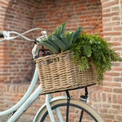 Porte-bagages Avant Pour Vélos De 20 à 24 Pouces Steco -Porte-vélo Soldes Magasin porte bagages avant pour velos de 20 a 24 pouces steco full 4